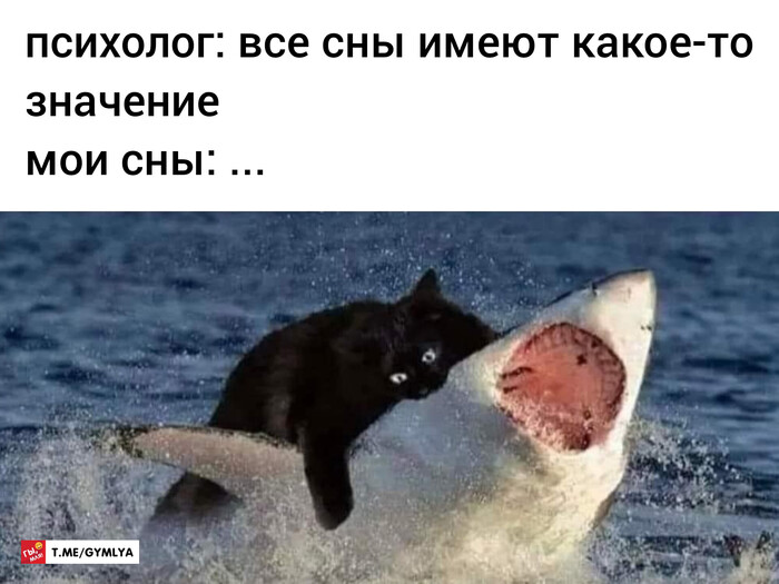 ����� �� ���������