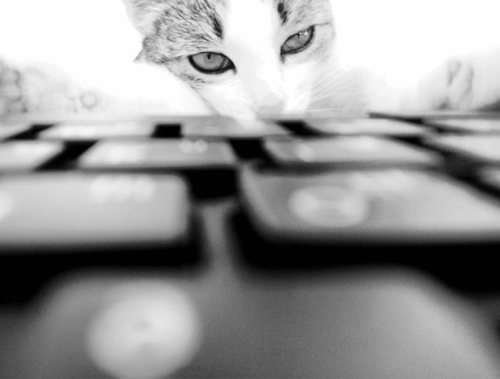 Понедельник - день тяжелый)