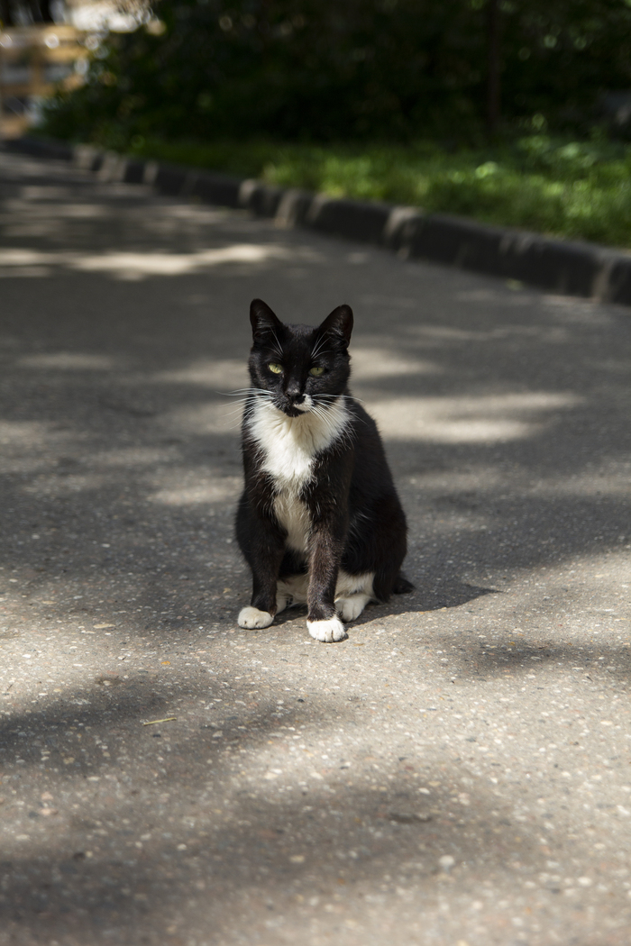 Куда держишь путь, странник?