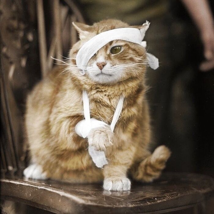 ������� � ����� ������� �����...