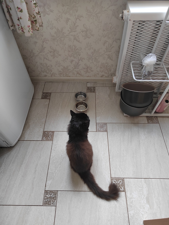 ����� ��� ��� �����!