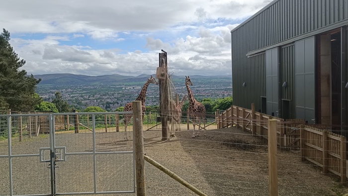 Немного рандомных фактов и фоточек про Шотландию (Ч.2) | Пикабу