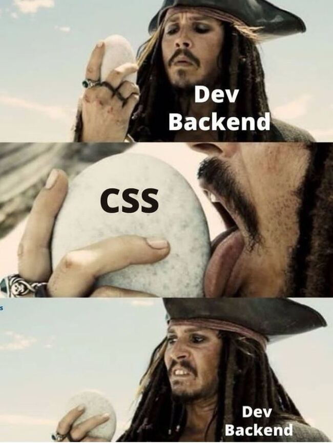   IT ,   , CSS,   ,   , Backend
