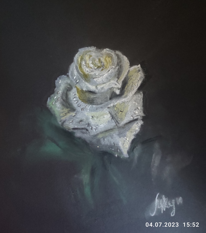 Продолжу серию цветов. Эскиз розы