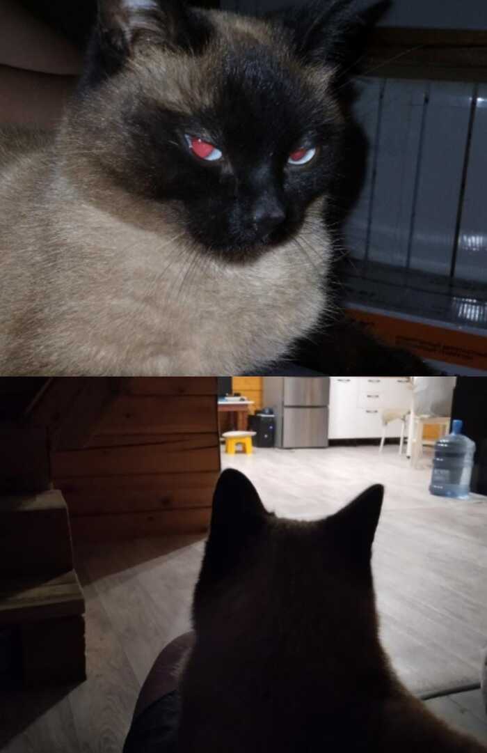  .      , , 