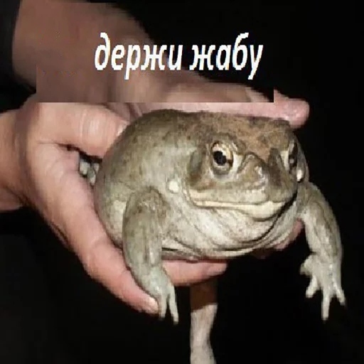 � ���� �����!