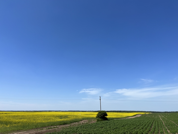 ���-�� ��� ��������