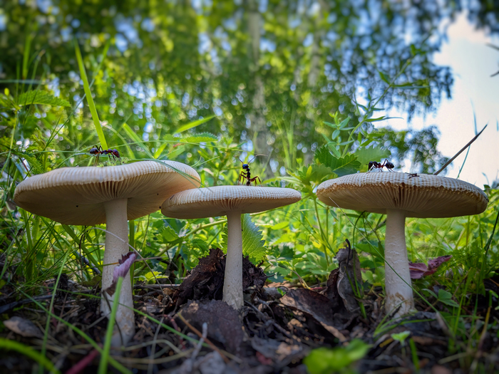 ������� �� ��������