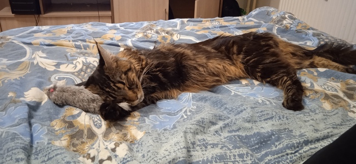 ��� ��� ���������