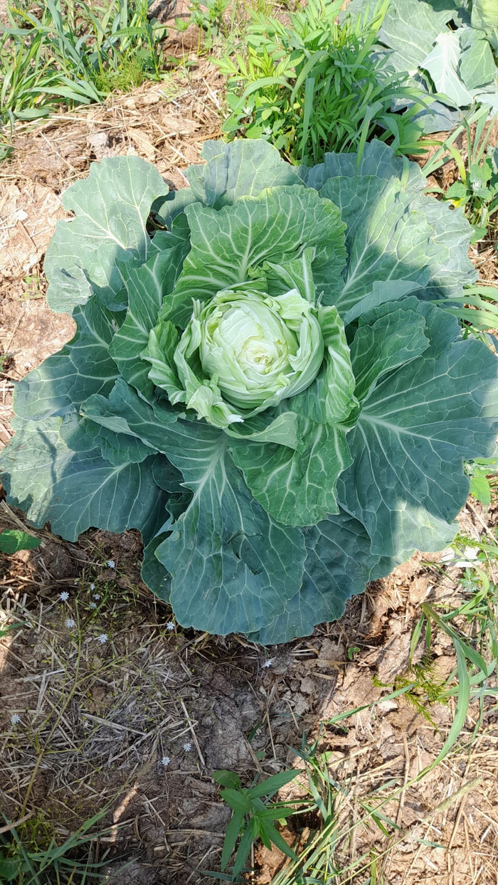 Ох эта тонкая грань