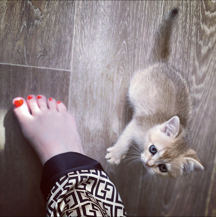 ������� ��������� �����