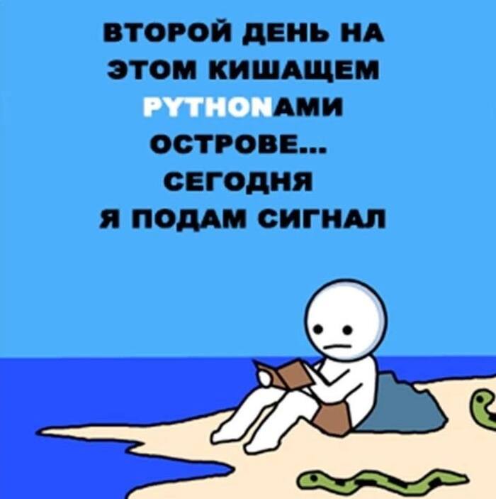    ? IT , , IT, , Python, , , 