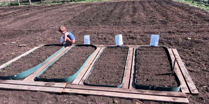 Ферма Пикабушников