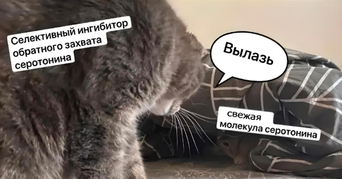Топ добавок для серотонина и как они работают | Пикабу