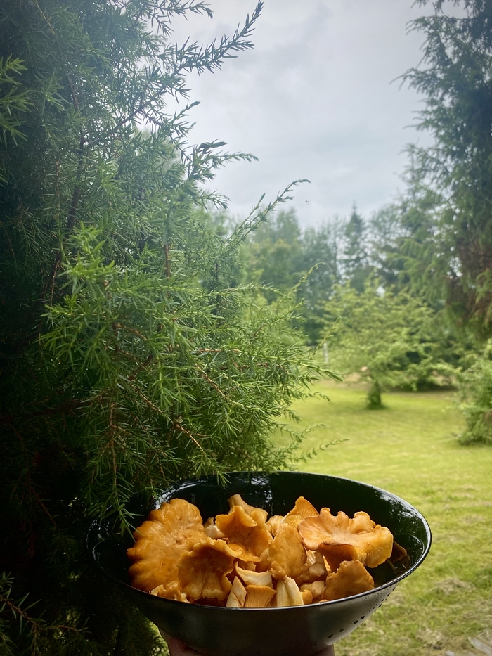 ������� ���� � ������� #1754