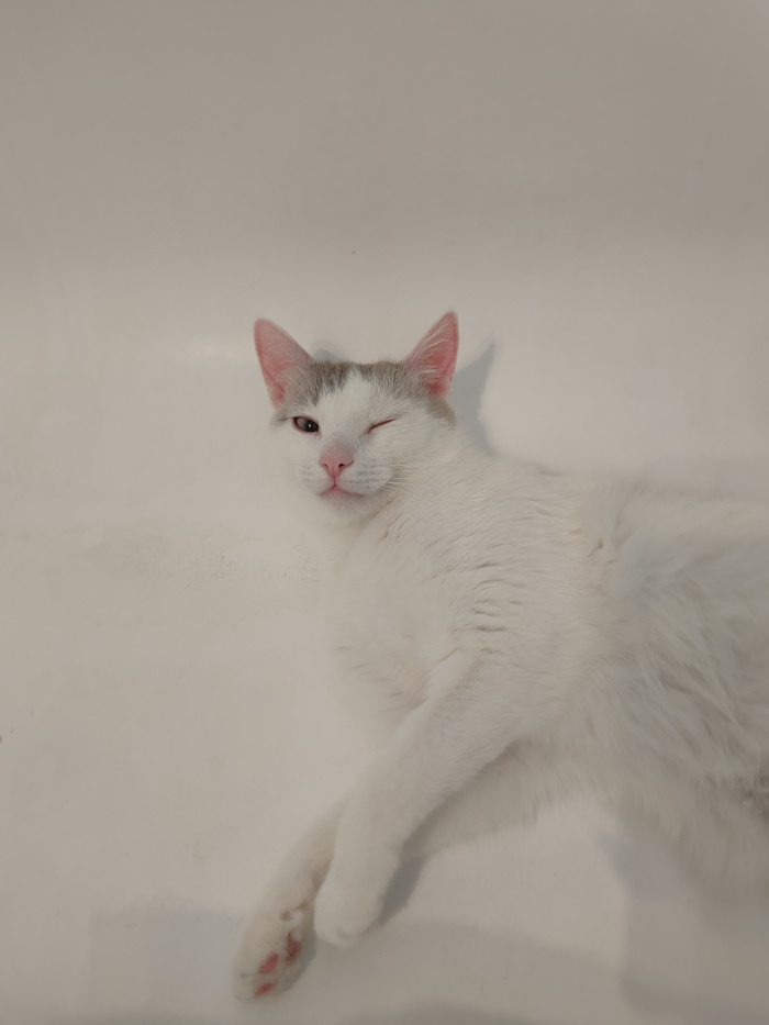   ! , , , , , ,  , , , 