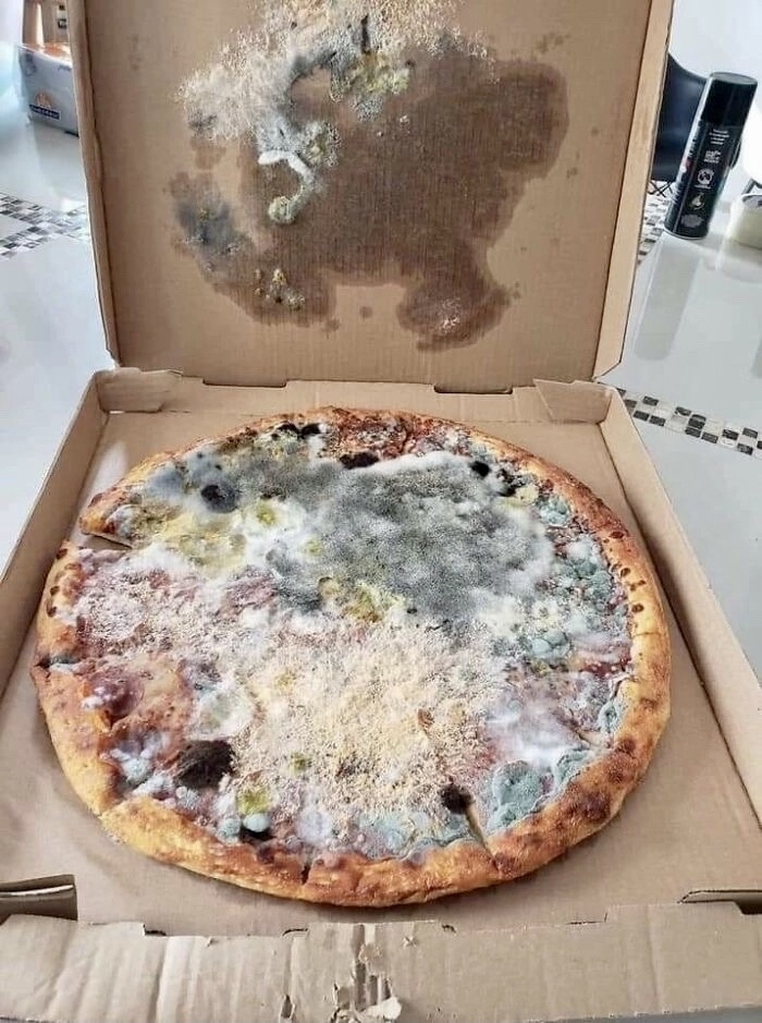 ����������� �?