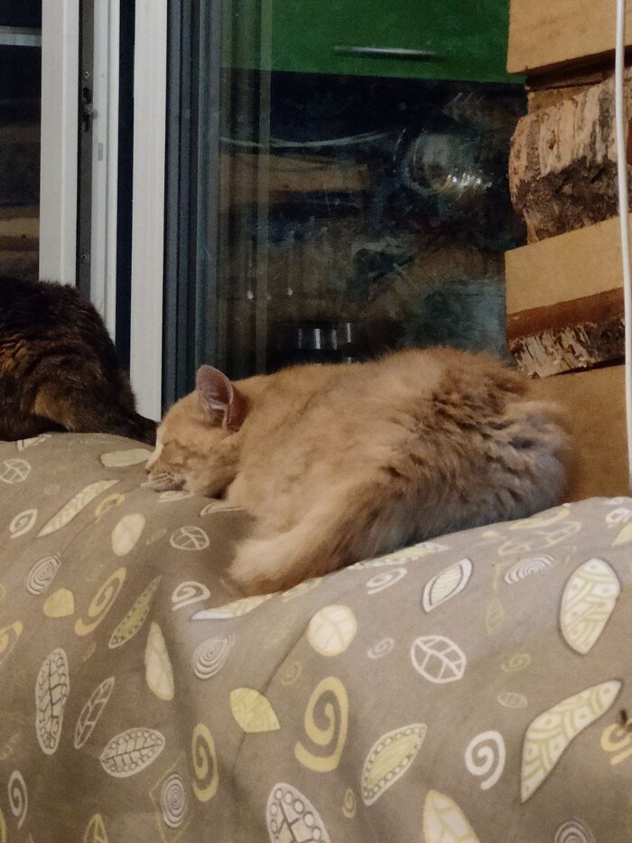          , , ,  ,  , , ,   ,  