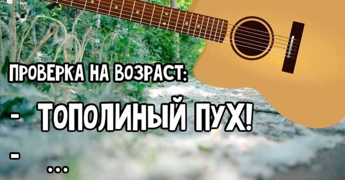 Тополиный пух кавер. Кот в Тополином Пухе. Иванушки рыжий Тополиный пух