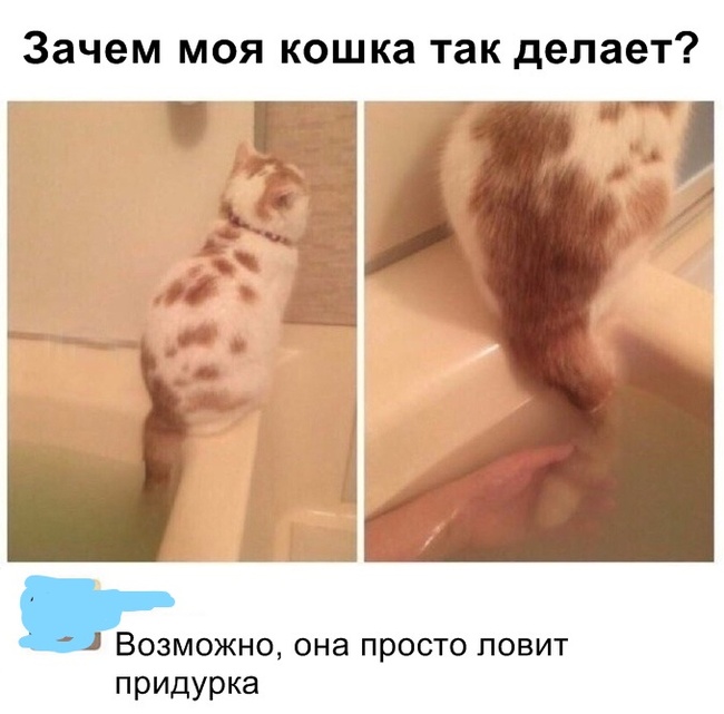 ����� �� �����)