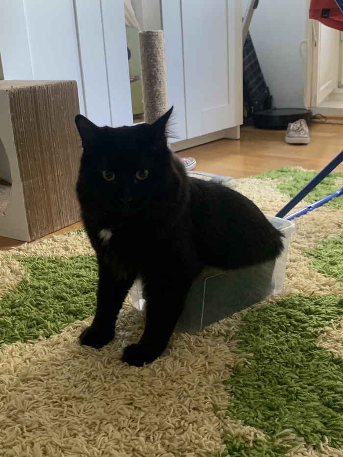 ��� ���� ������, ��� ������, ������ ��� � ����