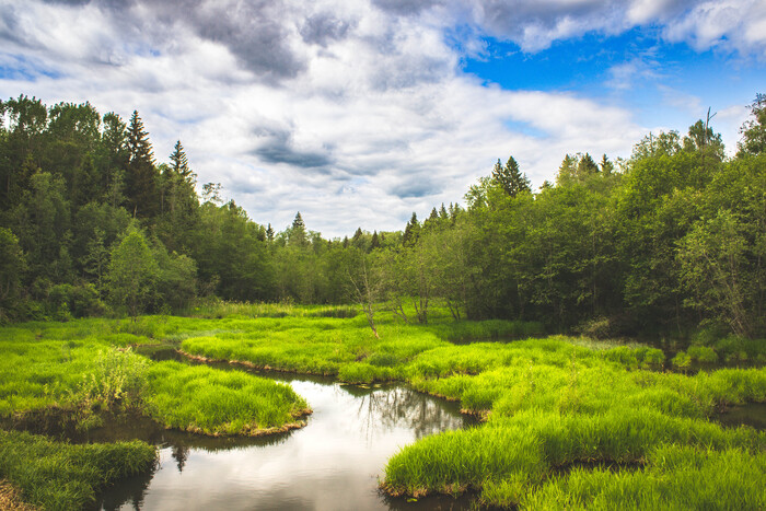 Извилистая речка