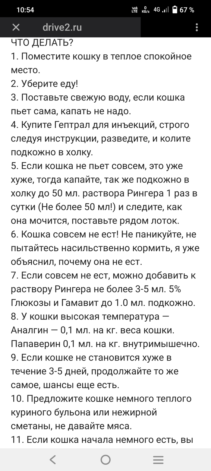 Как убивают антибиотики | Пикабу