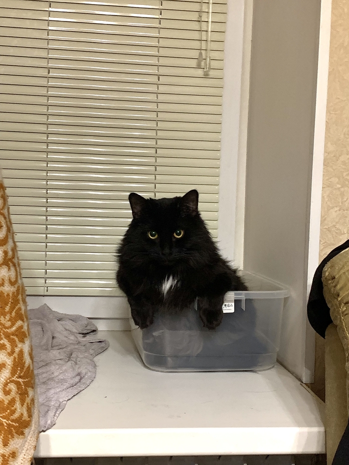 ��, �� ������ ���� ��������� ���������, ����� �� �������� �������� �� ���� ������ �����