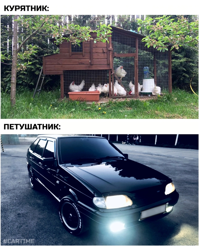 Птицы. Авто, Юмор, Тонировка, Led, Картинка с текстом