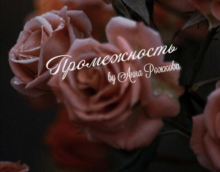 Промежность | Пикабу