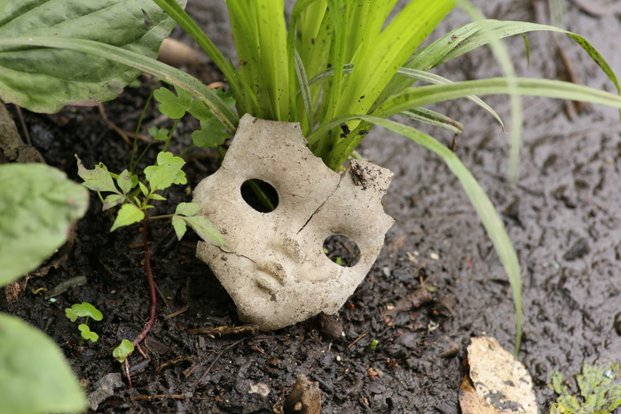 Немножко крипоты в ленту