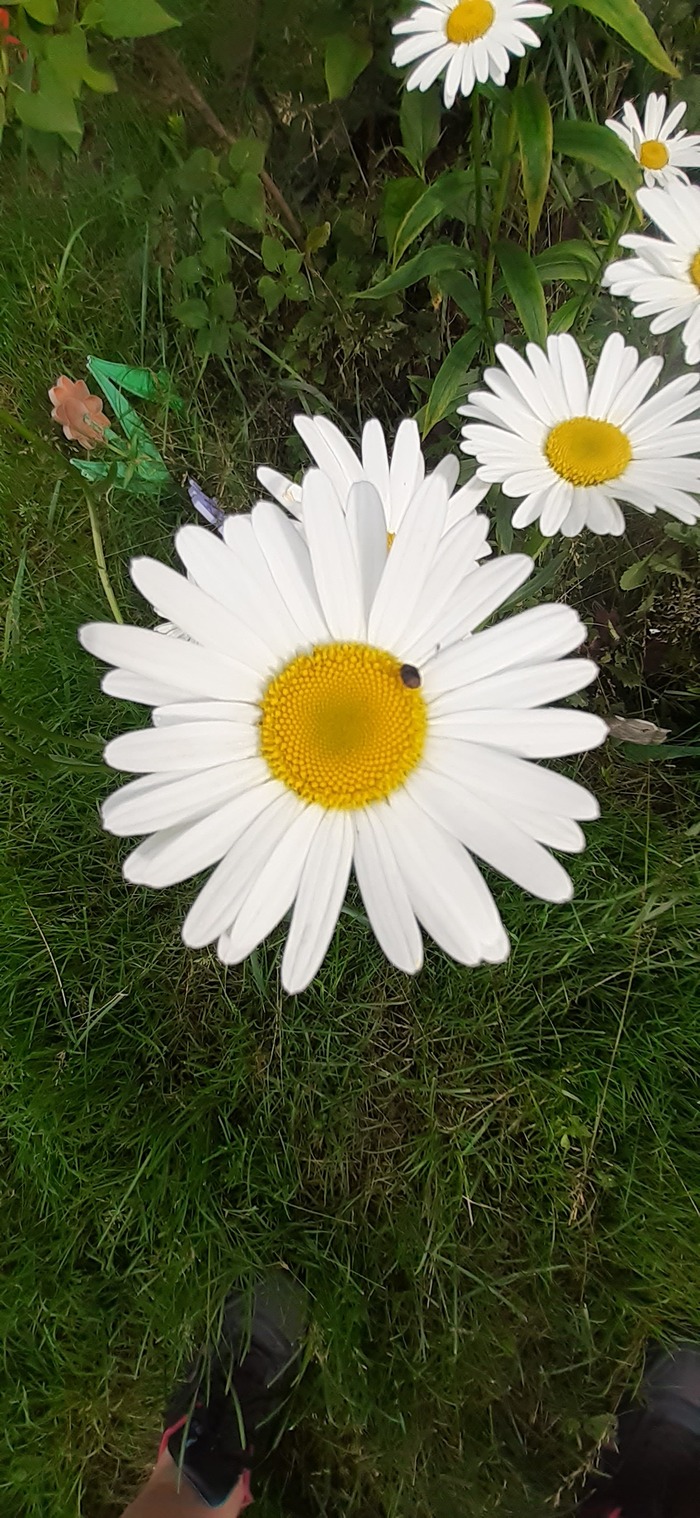  , , , , , 