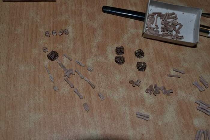 Восставшие из полимерной глины Хобби, Миниатюра, Поделки, Моделизм, Сувениры, Коллекционирование, Увлечение, Рассказ, Скелет, Фотография, Мобильная фотография, Властелин колец, Ручная работа, Рукоделие, Длиннопост