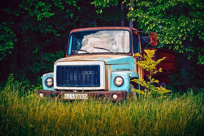 Просто грузовик посреди леса