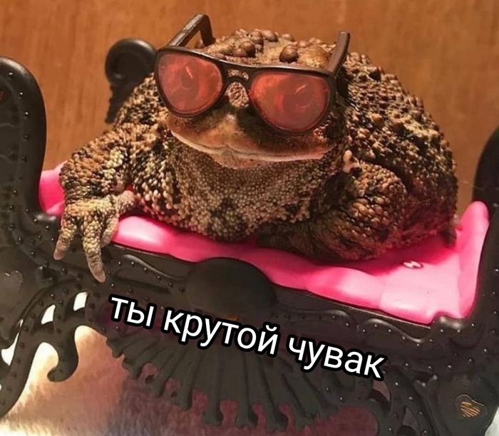 Это среда мои чуваки