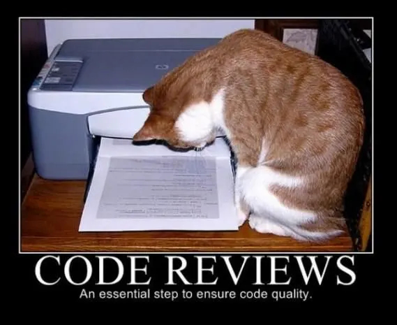        , Pikabu Publish Bot, , Code review, ,  , IT, 