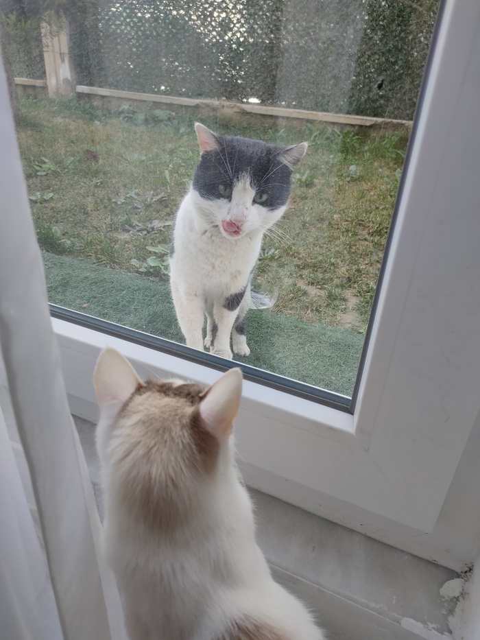  , ,  ,  ,  