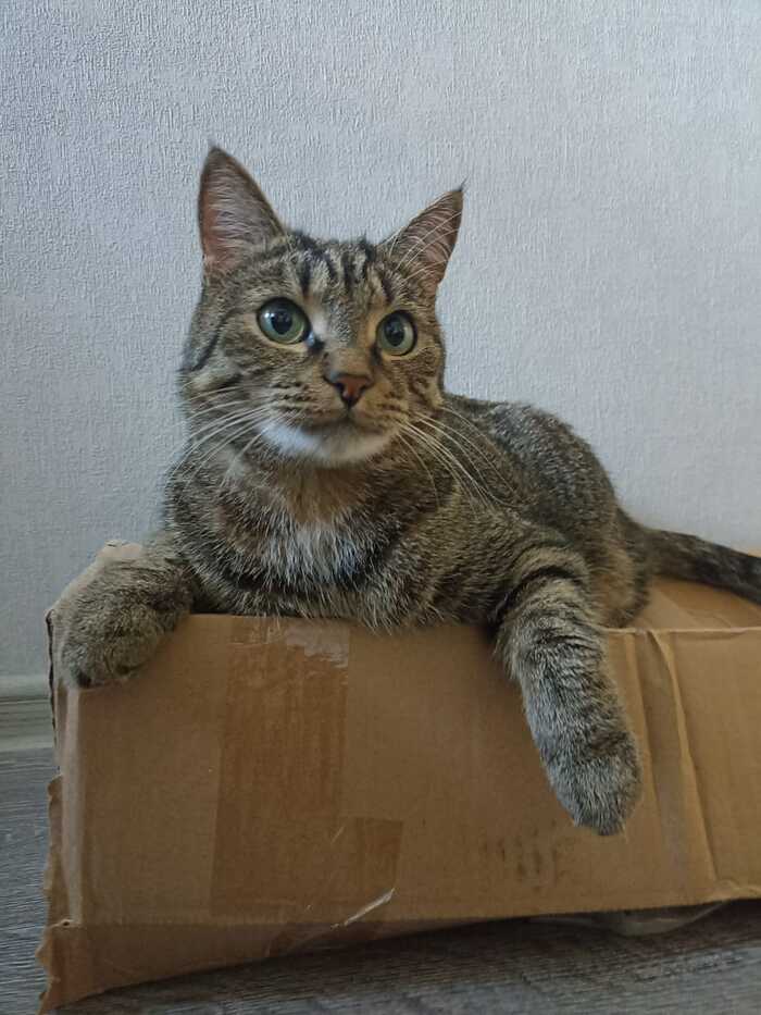      ,  , , ,  , , 