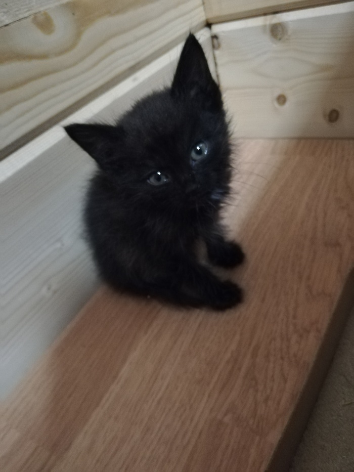 ,  ! , , , , , , 