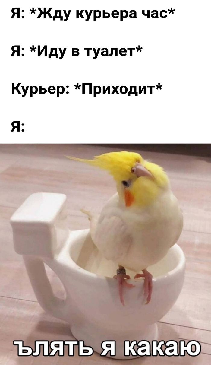 Как всегда вовремя