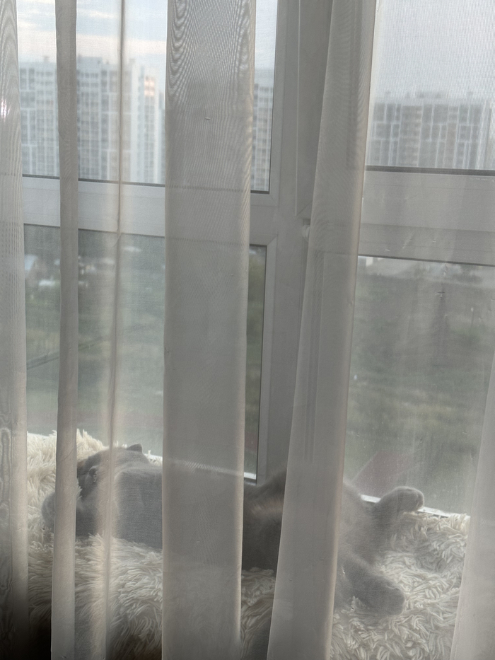 Кто на кого учился, как говорится