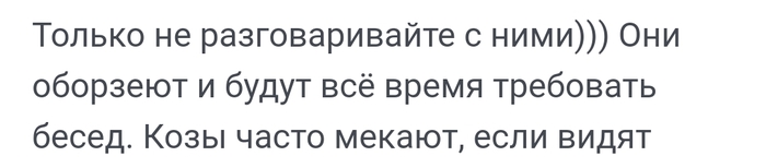        - "   !"  , , 