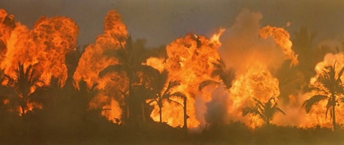   / Apocalypse Now (1979)  , ,  ,   ,  ,  , 