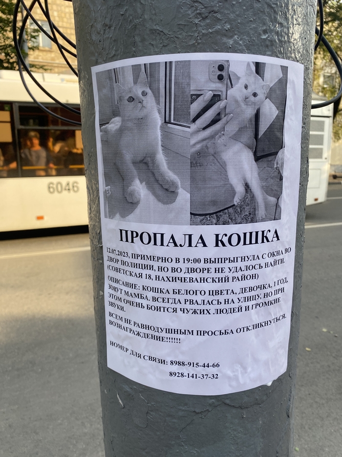 ������� �����. ���. ��� ��������