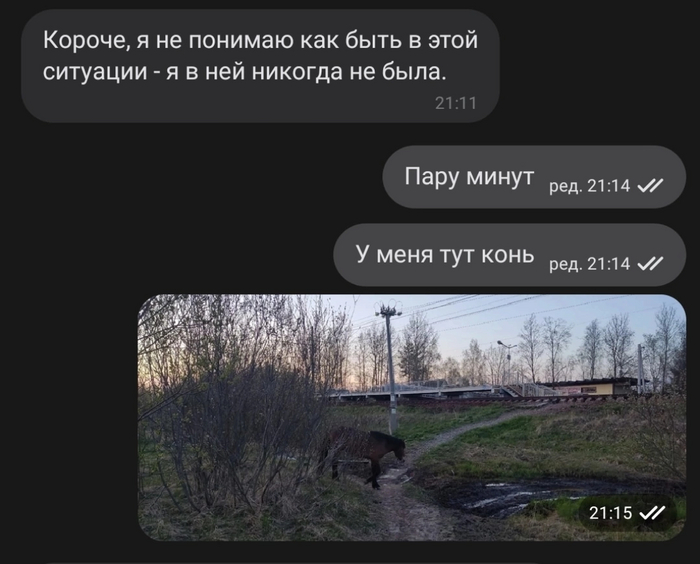 � ���� ���� ��������