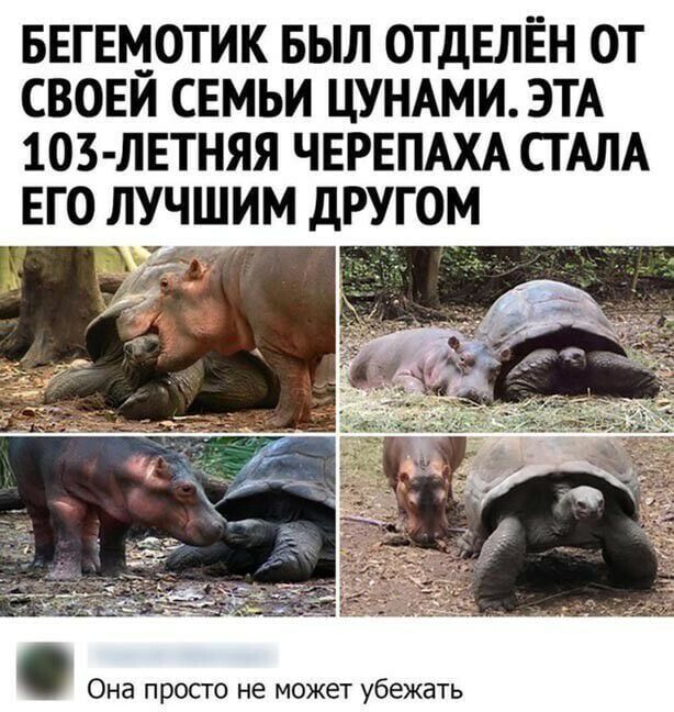   ,   , , , , , 