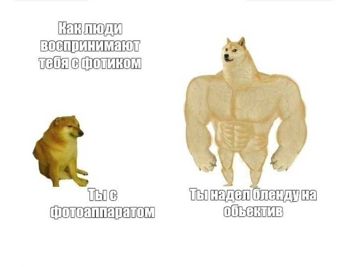 Когда ты любитель, но надел на объёктив фотоаппарата блямбу-лепесток