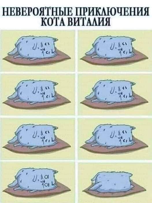      , , ,  , 