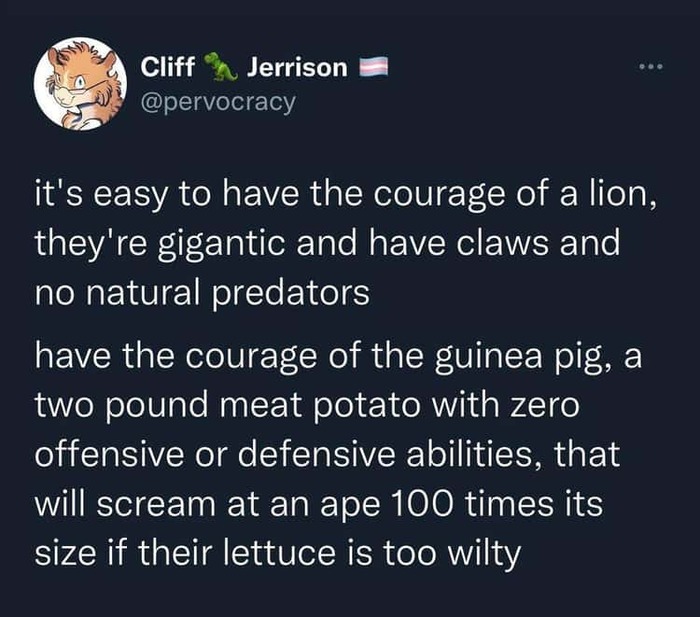 Храбрая свинка