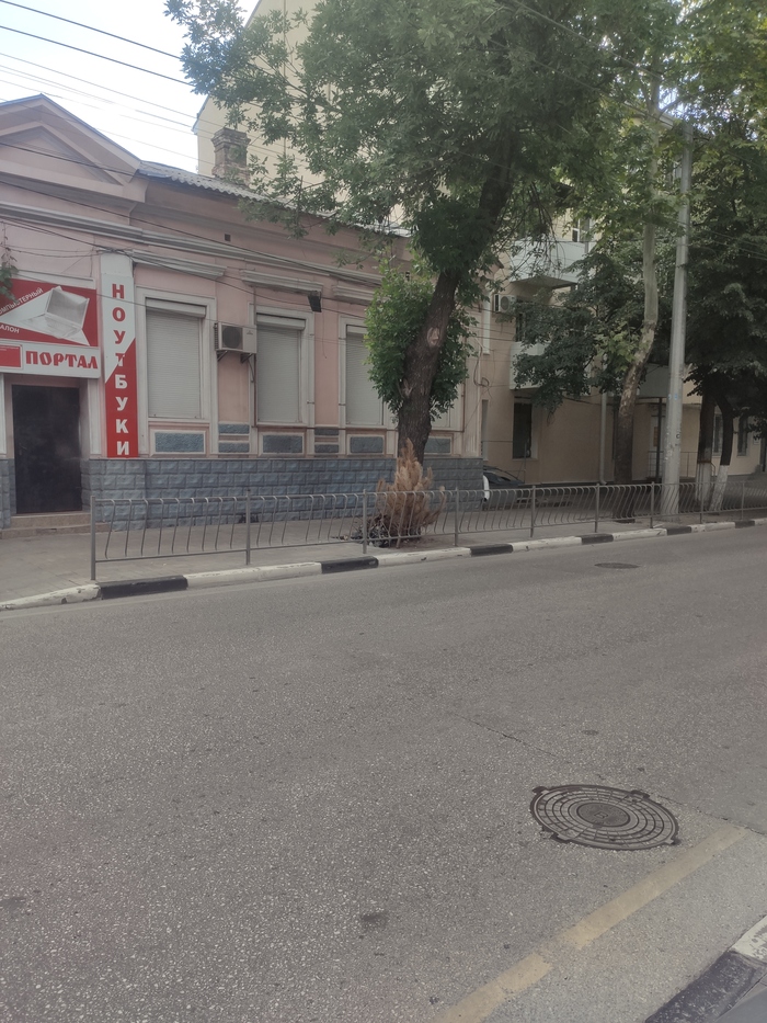 Симферополь 16.07.2023 время 14.00